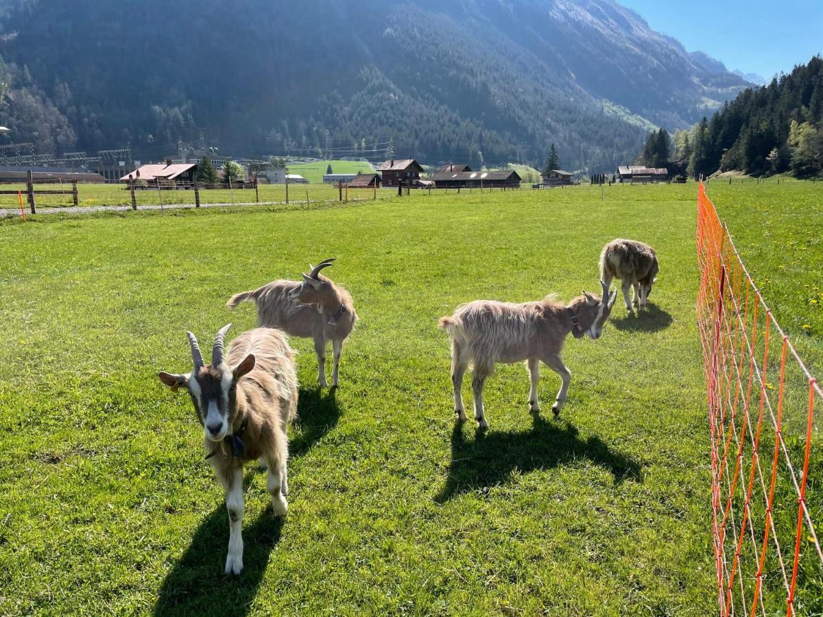 Schlafen Im Fass - Schlaffass - Abenteuer - Romantik - Haslifass Innertkirchen Extérieur photo